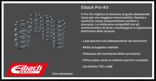Molle Eibach Pro Kit Fiat 500 Abarth - 595 - 695 (25-30mm)